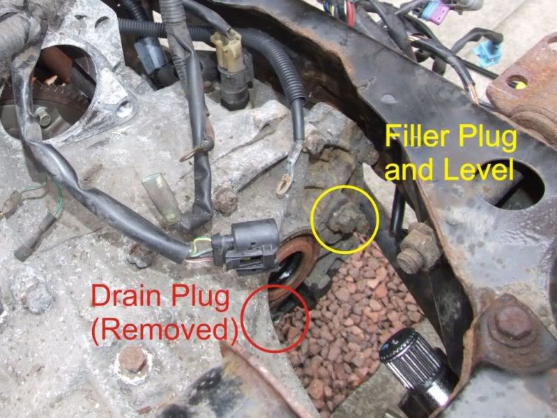 MGF & MG TF Owners Forum Gearbox How to top up/refil oil.